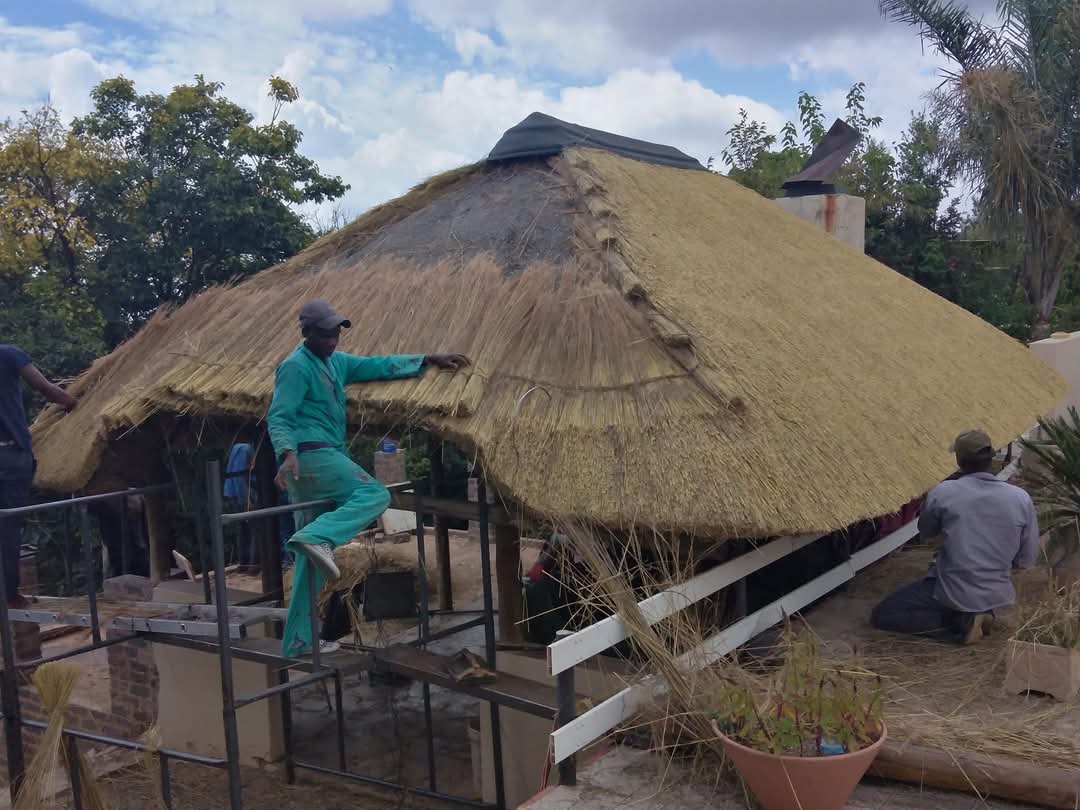 Thatch lapa and roofing project